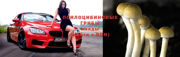 соль ск Осинники