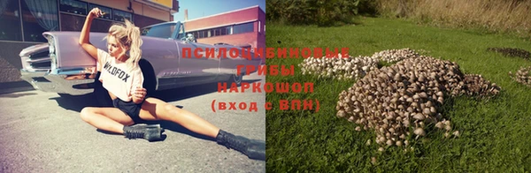 бутират Дмитровск
