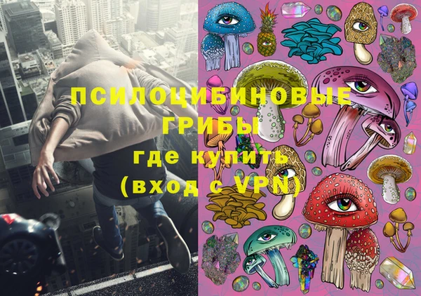 2c-b Ельня