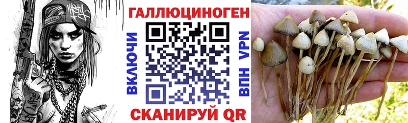 Псилоцибиновые грибы MAGIC MUSHROOMS  где можно купить   Севск 
